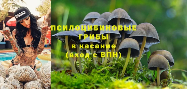 эйфоретик Алзамай