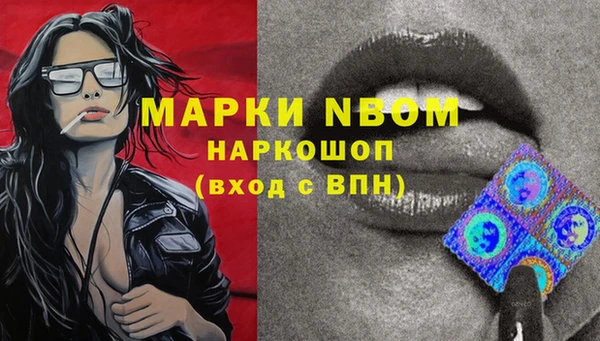 эйфоретик Алзамай